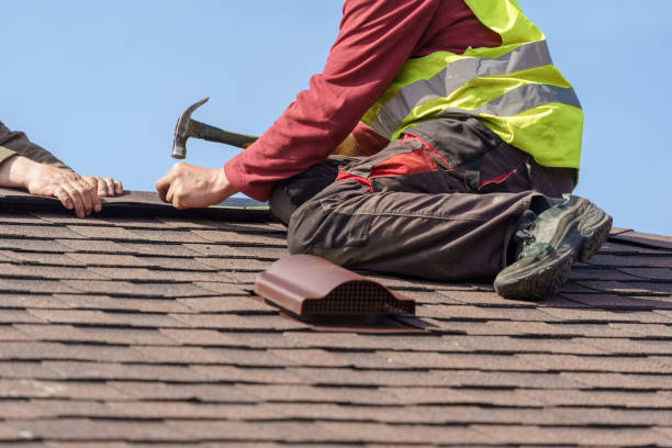 Best Flat Roof Repair Services  in Wapello, IA