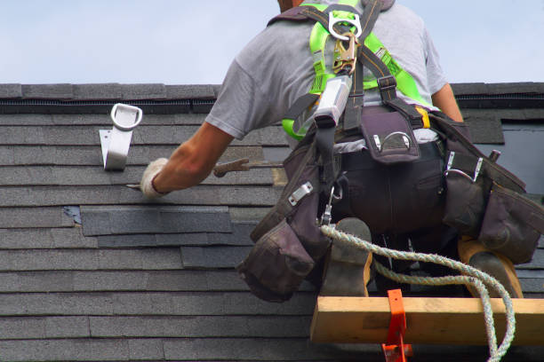 Best New Roof Installation  in Wapello, IA
