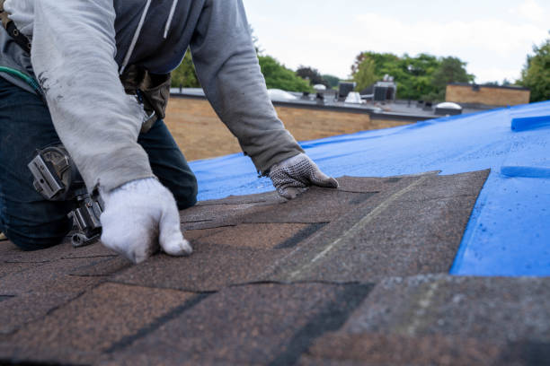 Wapello, IA Roofing Contractor Company