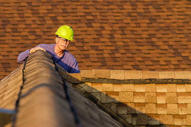 Best Shingle Roofing Installation  in Wapello, IA